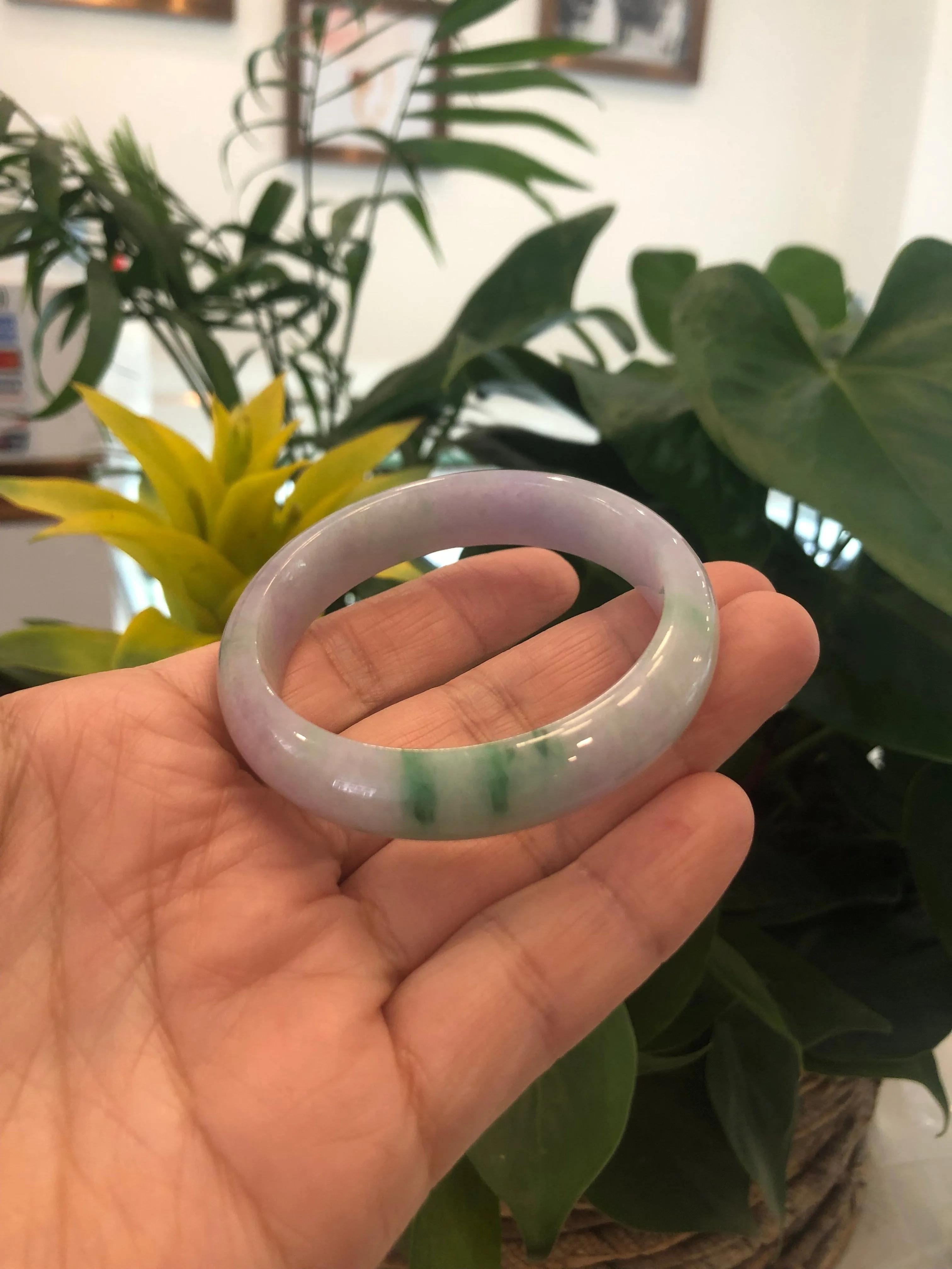 Genuine Burmese Lavender & Green Jadeite Jade Bangle Bracelet ( 53.38 mm ) #240